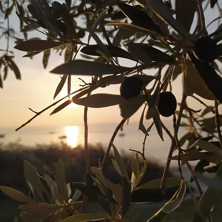 La Scaletta Lejlighed Cavaion Veronese