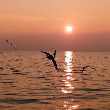 Lejlighed La Scaletta Cavaion Veronese