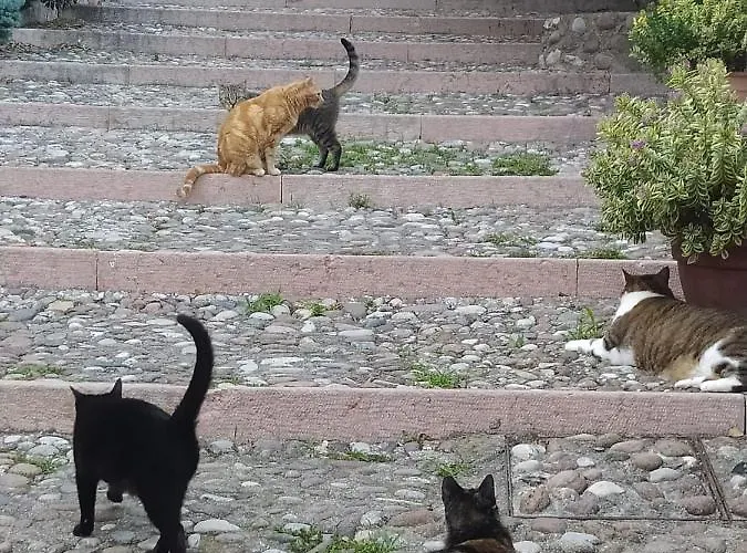 アパート La Scaletta カヴァイオーン・ヴェロネーゼ