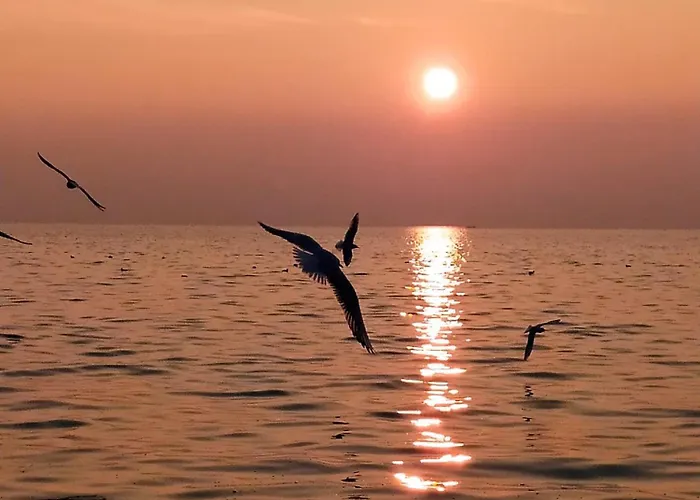 アパート La Scaletta カヴァイオーン・ヴェロネーゼ